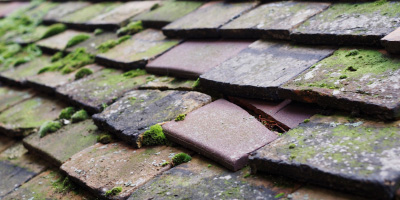 Codmore roof repair costs